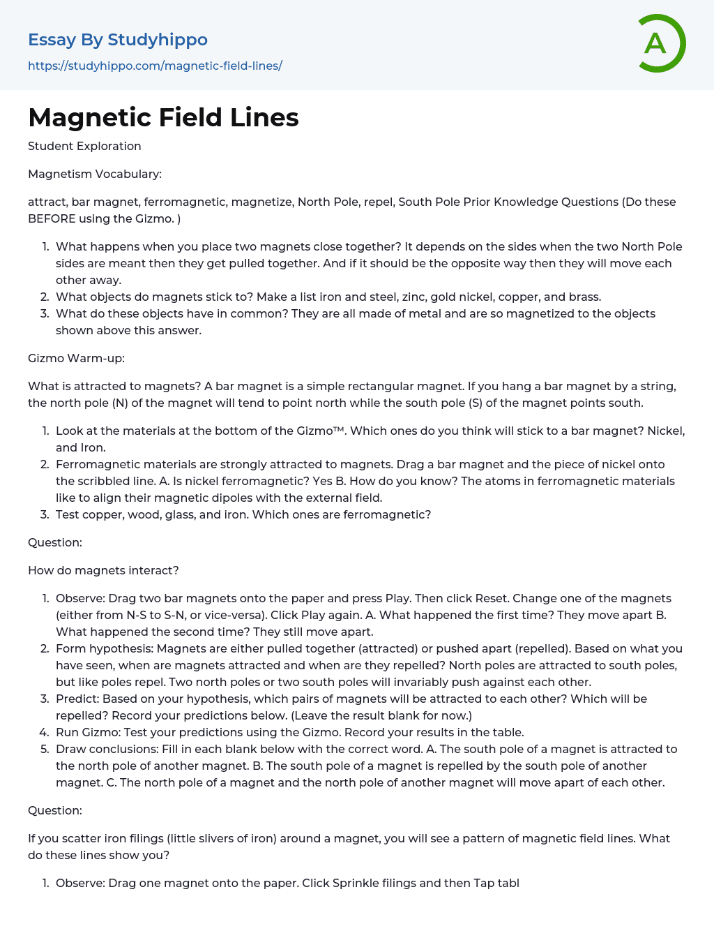 Magnetic Field Lines Essay Example