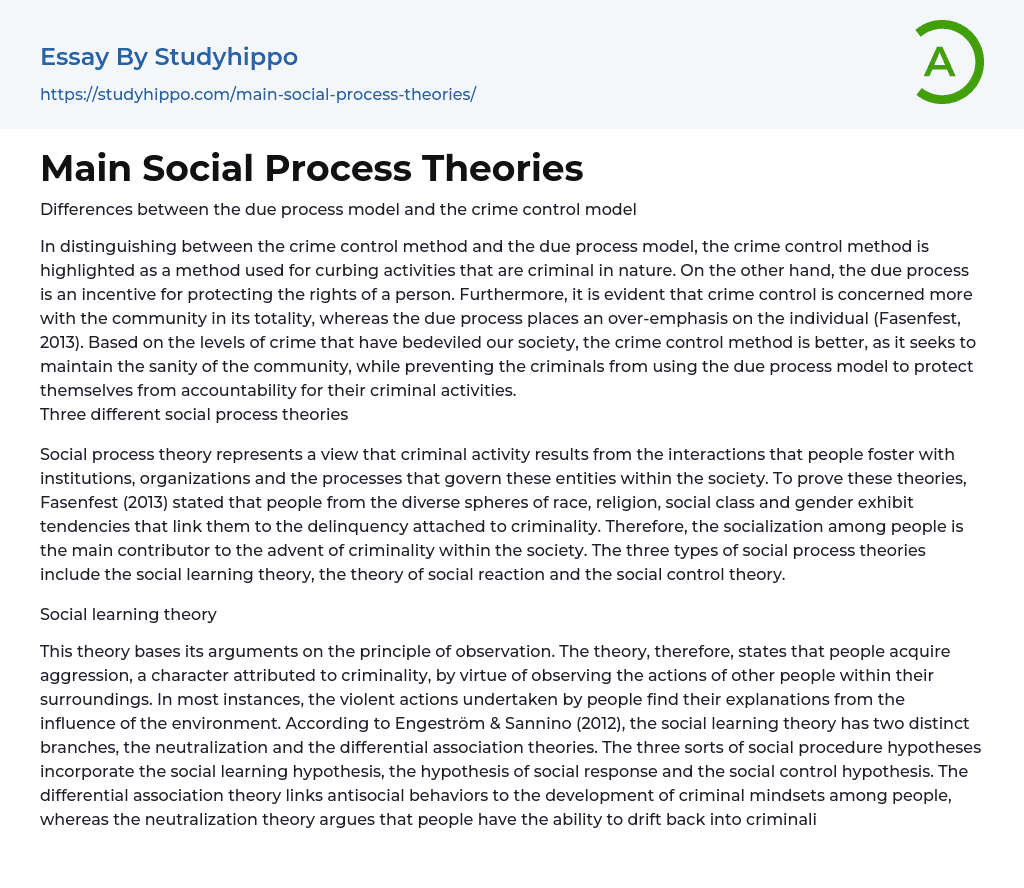 Main Social Process Theories Essay Example