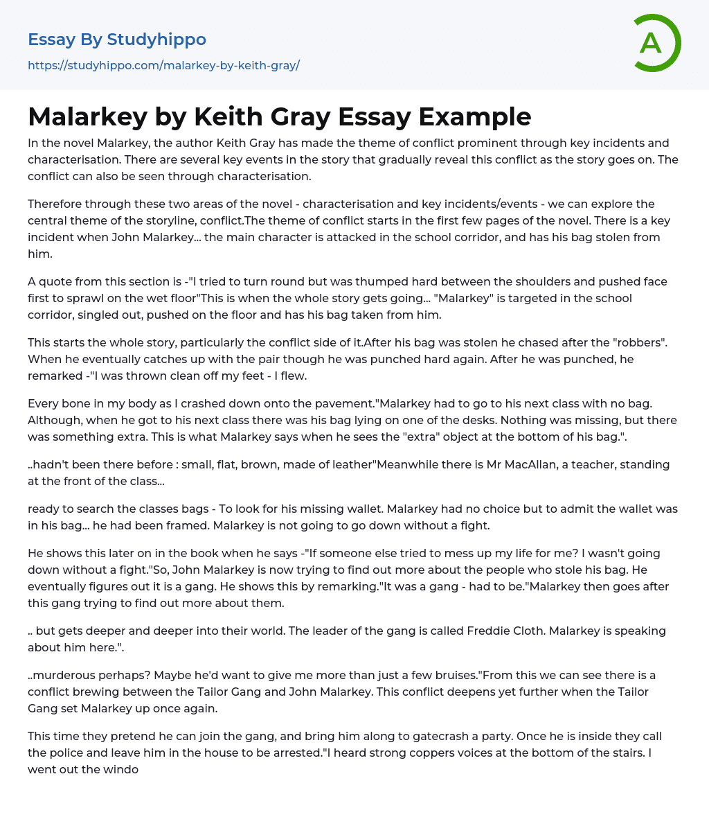 Malarkey by Keith Gray Essay Example