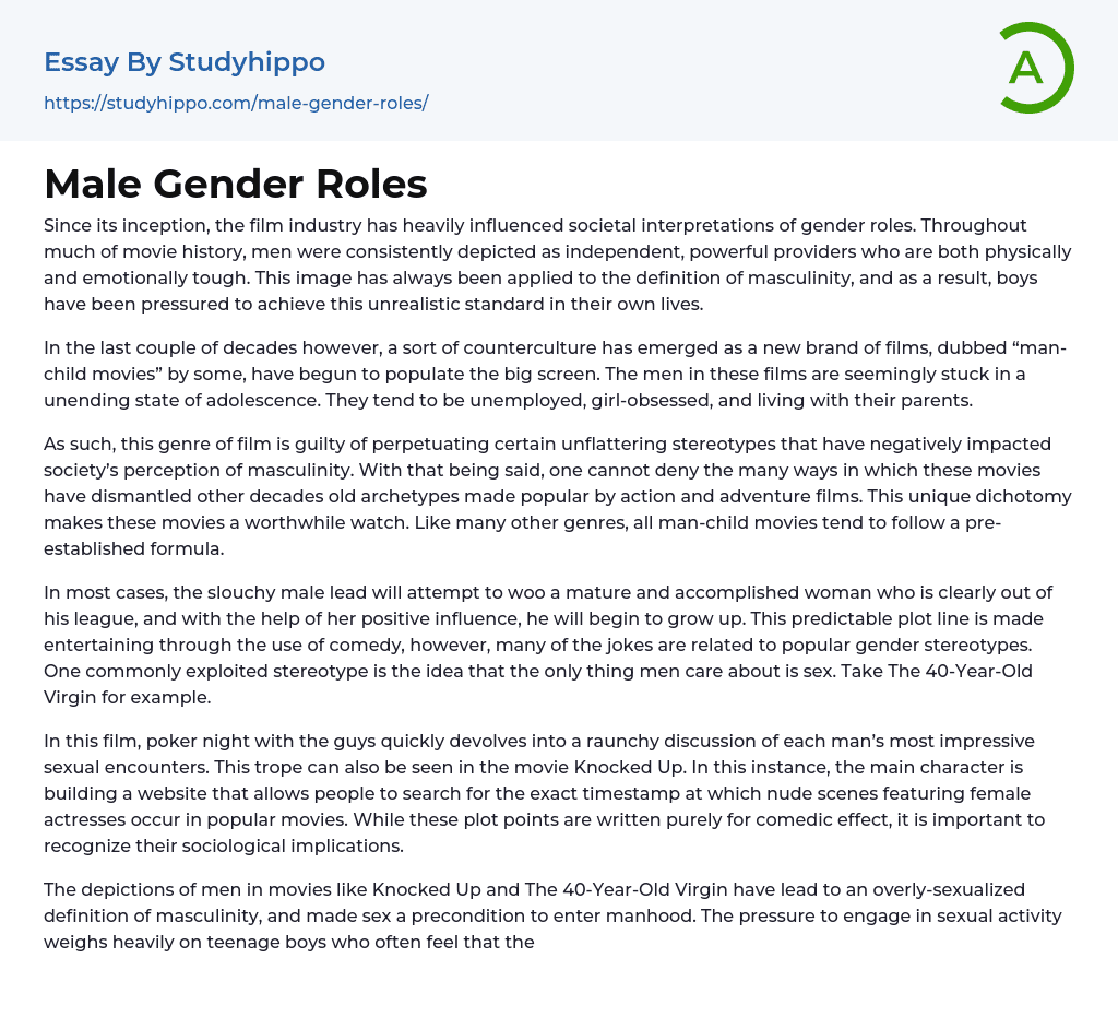 Male Gender Roles Essay Example