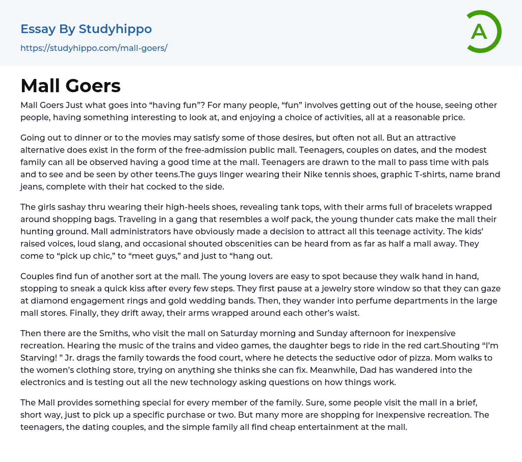 Mall Goers Essay Example