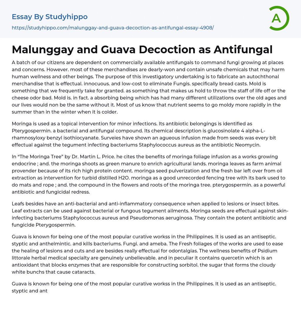 Malunggay and Guava Decoction as Antifungal Essay Example