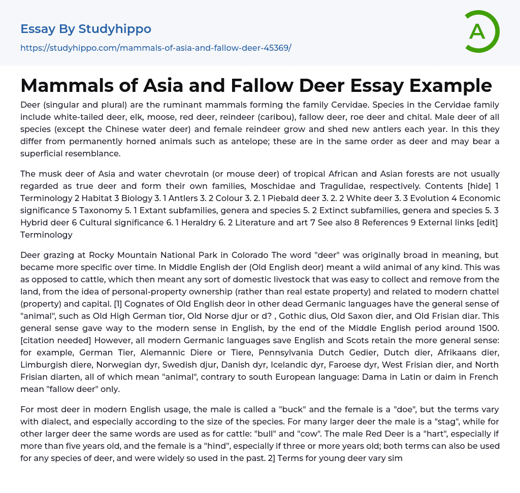 Mammals of Asia and Fallow Deer Essay Example