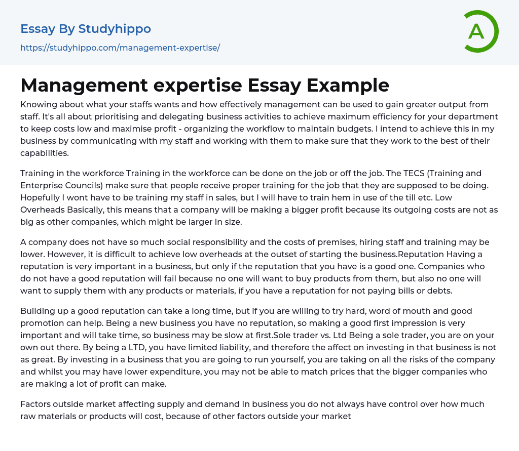 Management expertise Essay Example