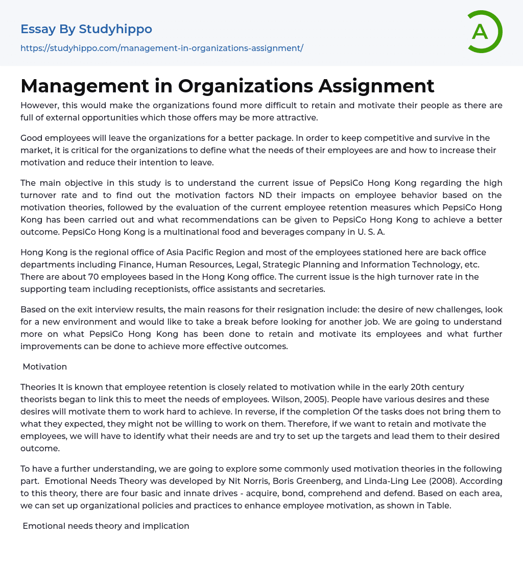 Management in Organizations Assignment Essay Example