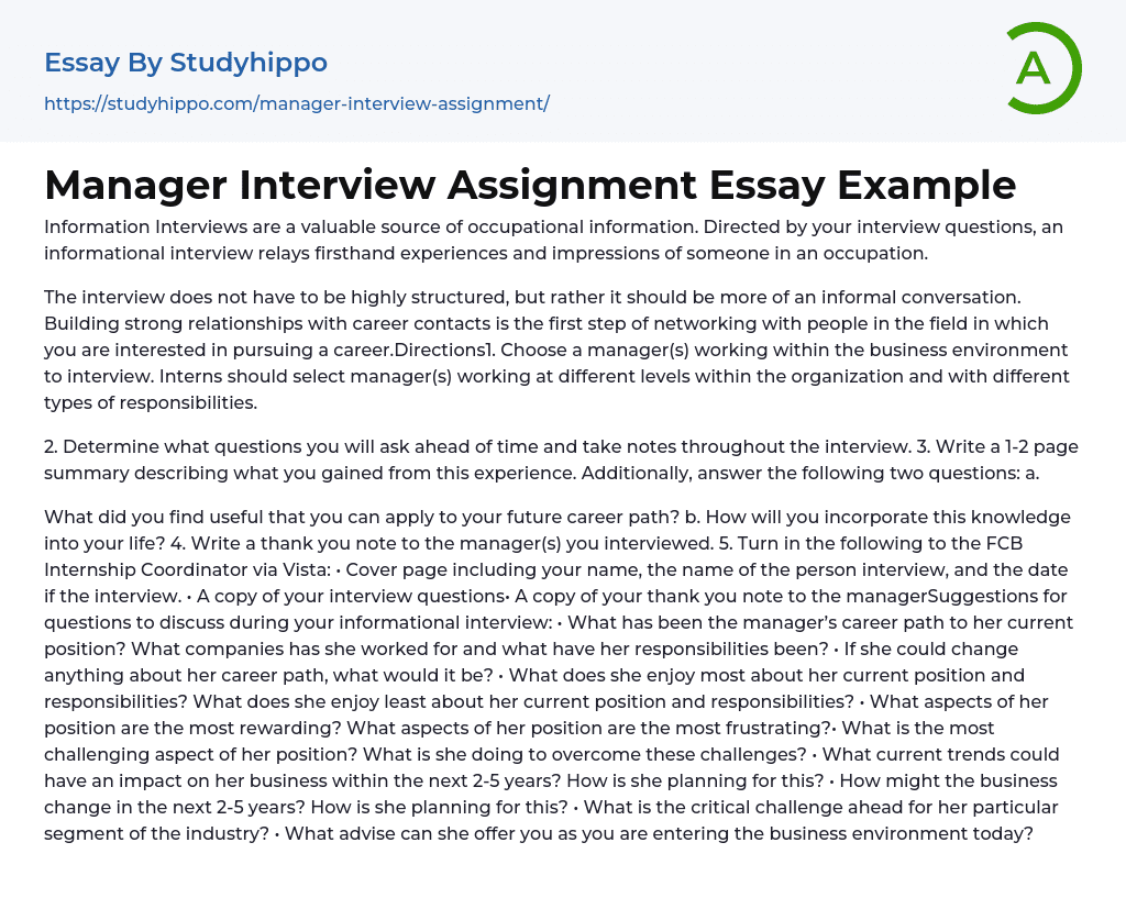 Manager Interview Assignment Essay Example