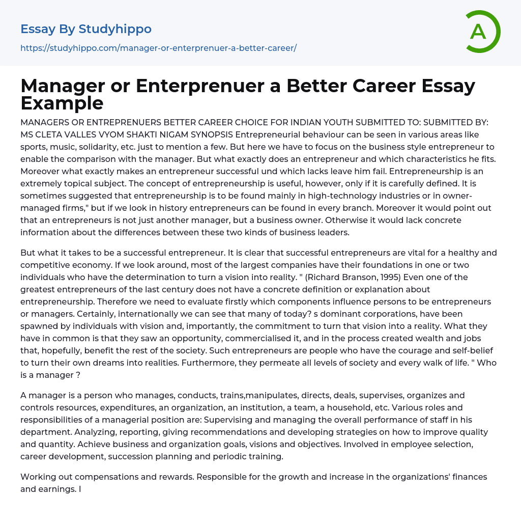 Manager or Enterprenuer a Better Career Essay Example
