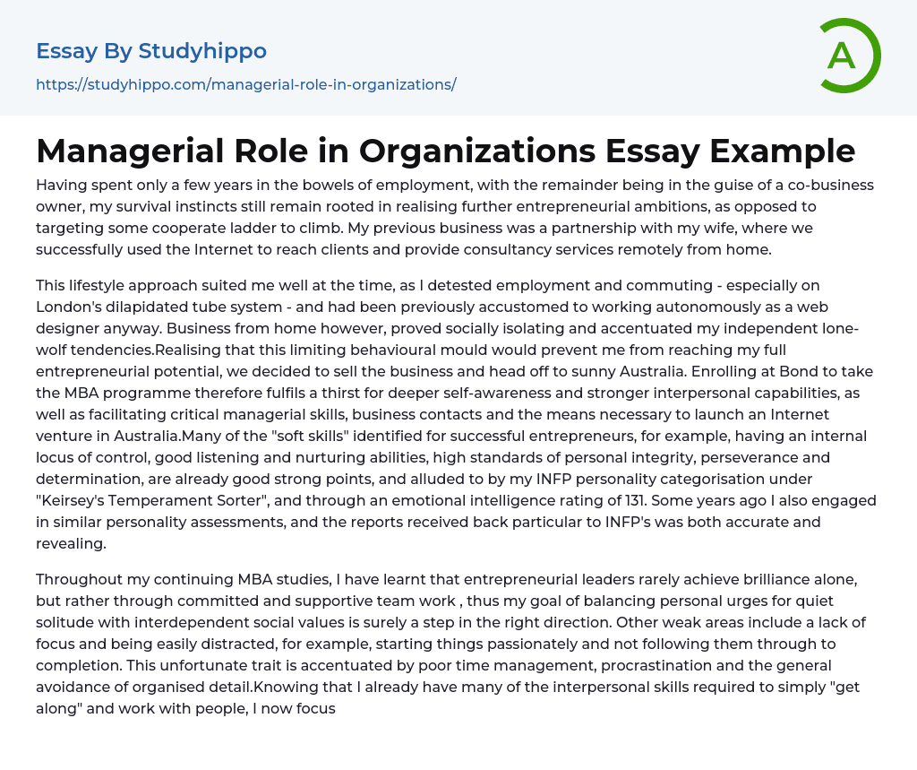 role of international organizations essay