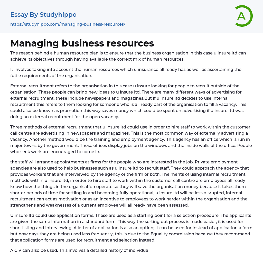 Managing business resources Essay Example