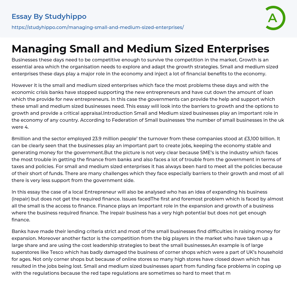 Managing Small and Medium Sized Enterprises Essay Example