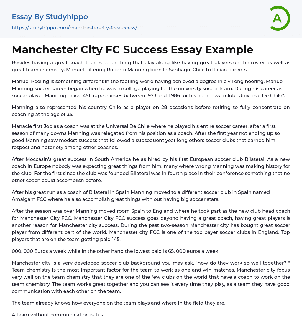 Manchester City FC Success Essay Example