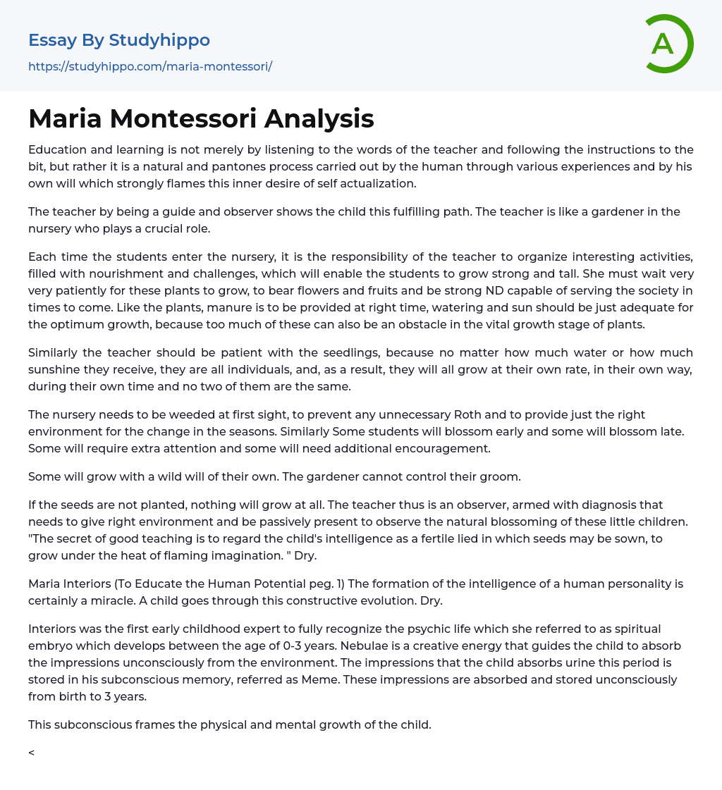 Maria Montessori Analysis Essay Example