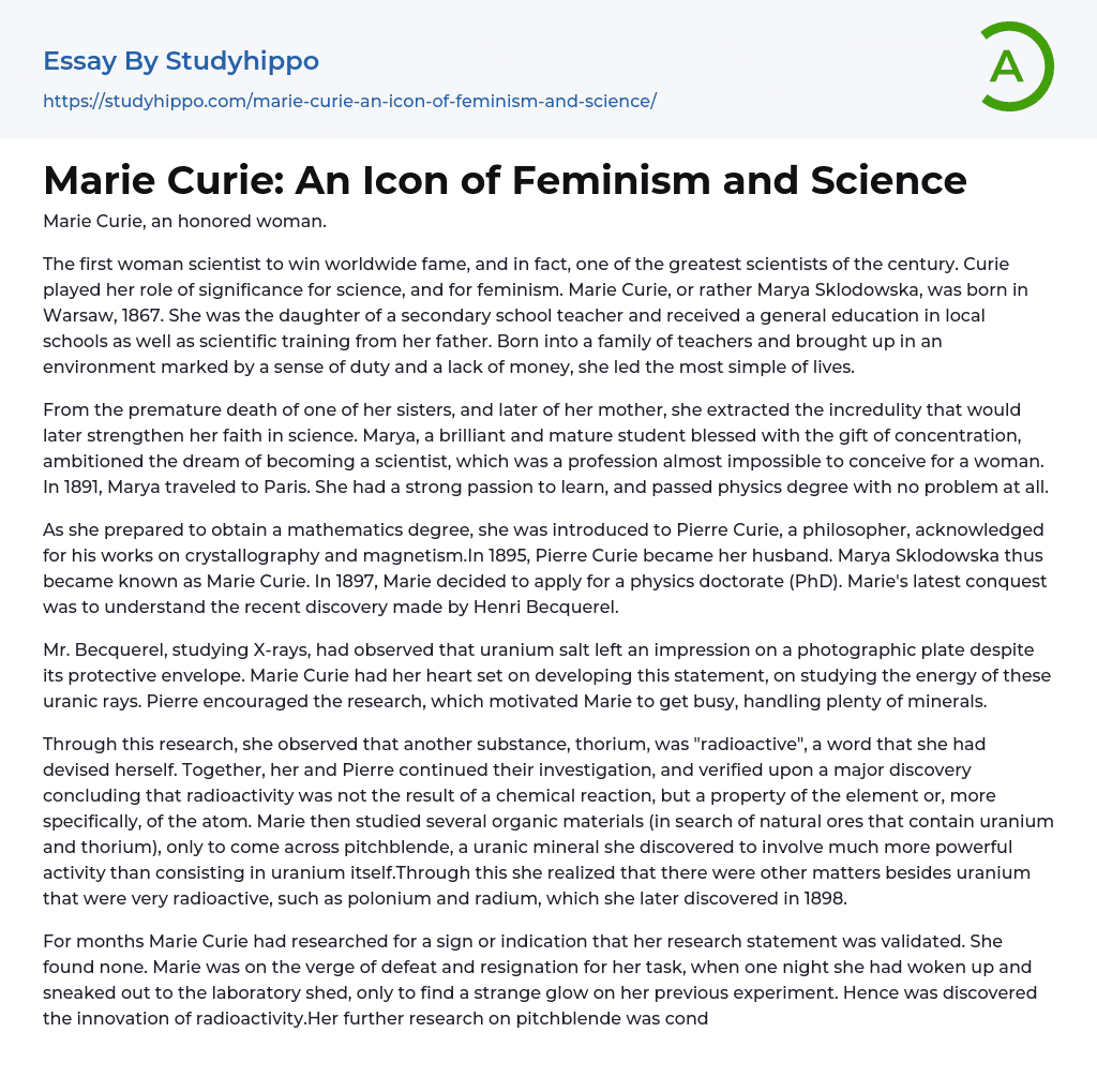 Marie Curie: An Icon of Feminism and Science Essay Example