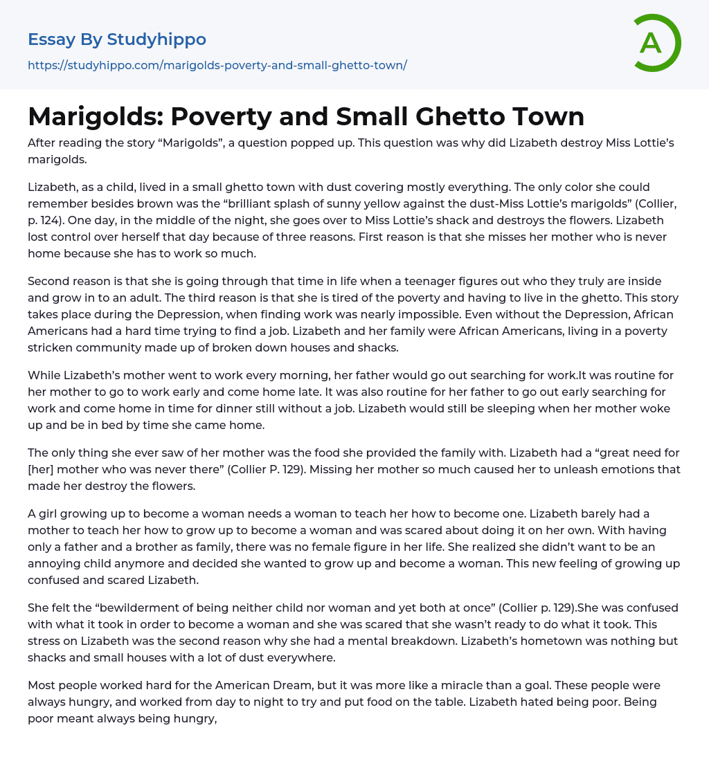 Marigolds: Poverty and Small Ghetto Town Essay Example