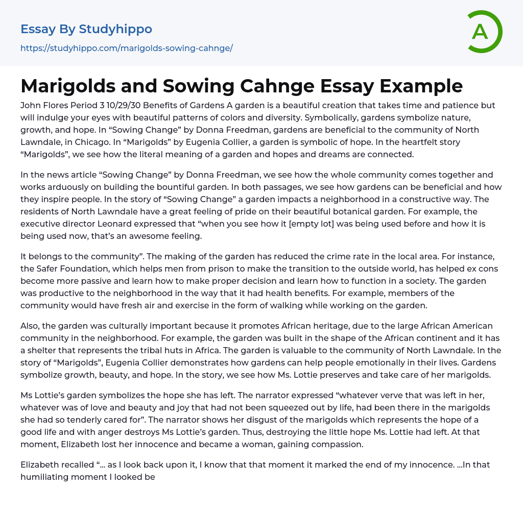 Marigolds and Sowing Cahnge Essay Example