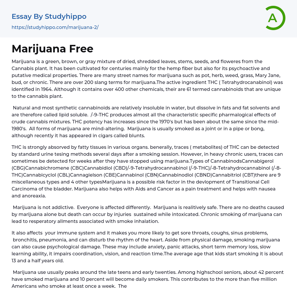 Marijuana Free Essay Example