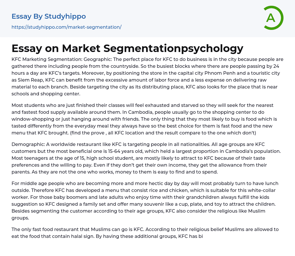 Essay on Market Segmentationpsychology