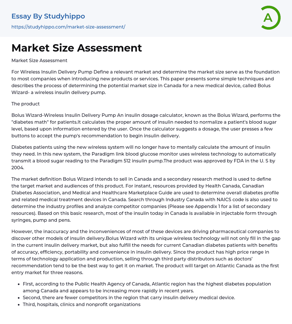 Market Size Assessment Essay Example