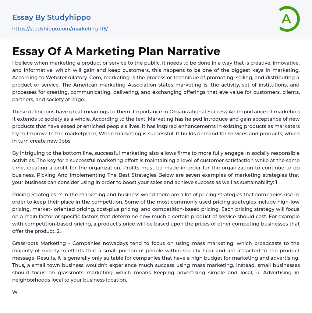 Essay Of A Marketing Plan Narrative