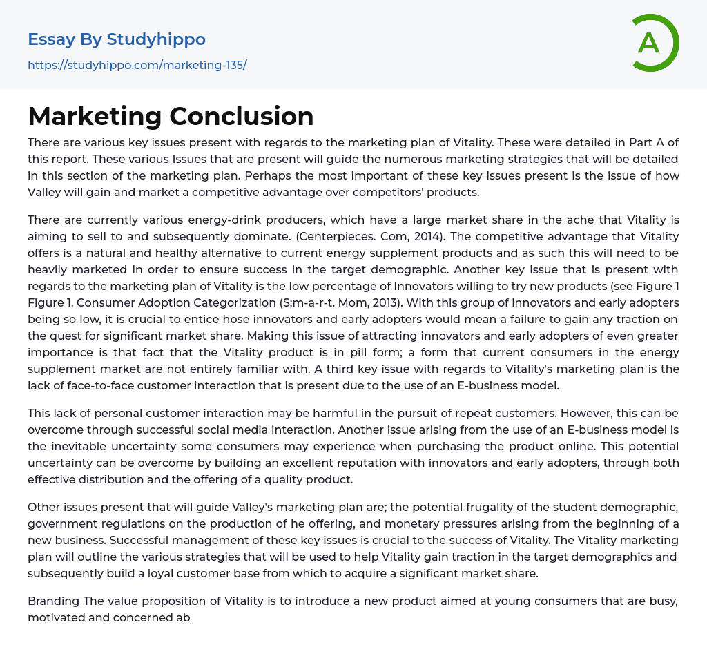Marketing Conclusion Essay Example
