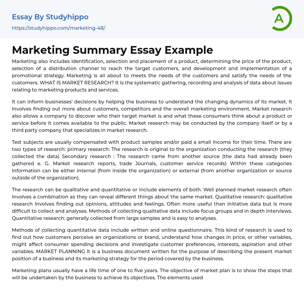 Marketing Summary Essay Example