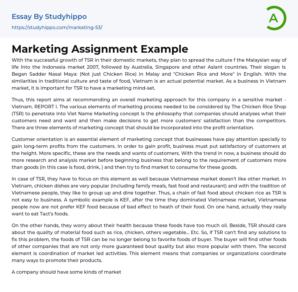 Marketing Assignment Example Essay Example
