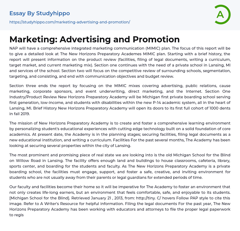 Marketing: Advertising and Promotion Essay Example