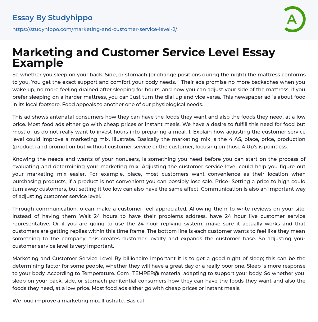 Marketing and Customer Service Level Essay Example