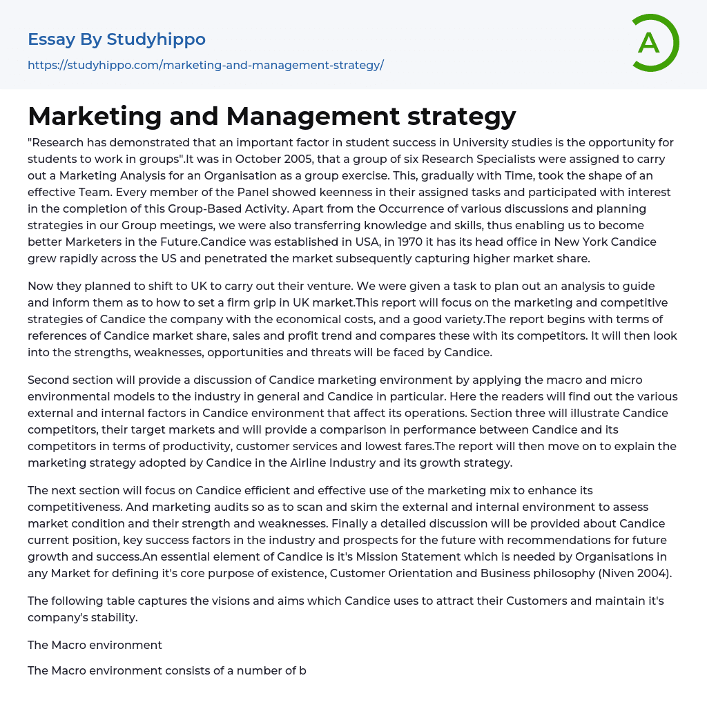 Marketing and Management strategy Essay Example