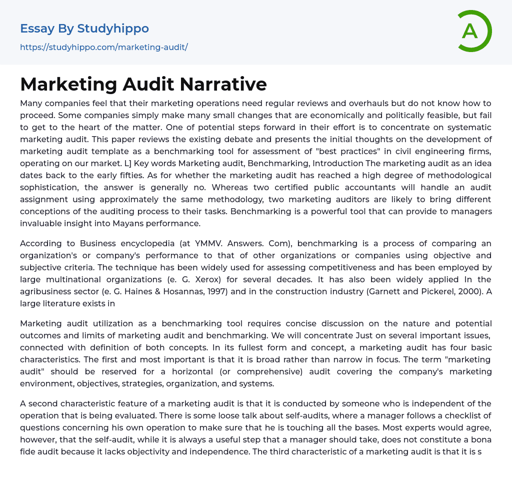 Marketing Audit Narrative Essay Example