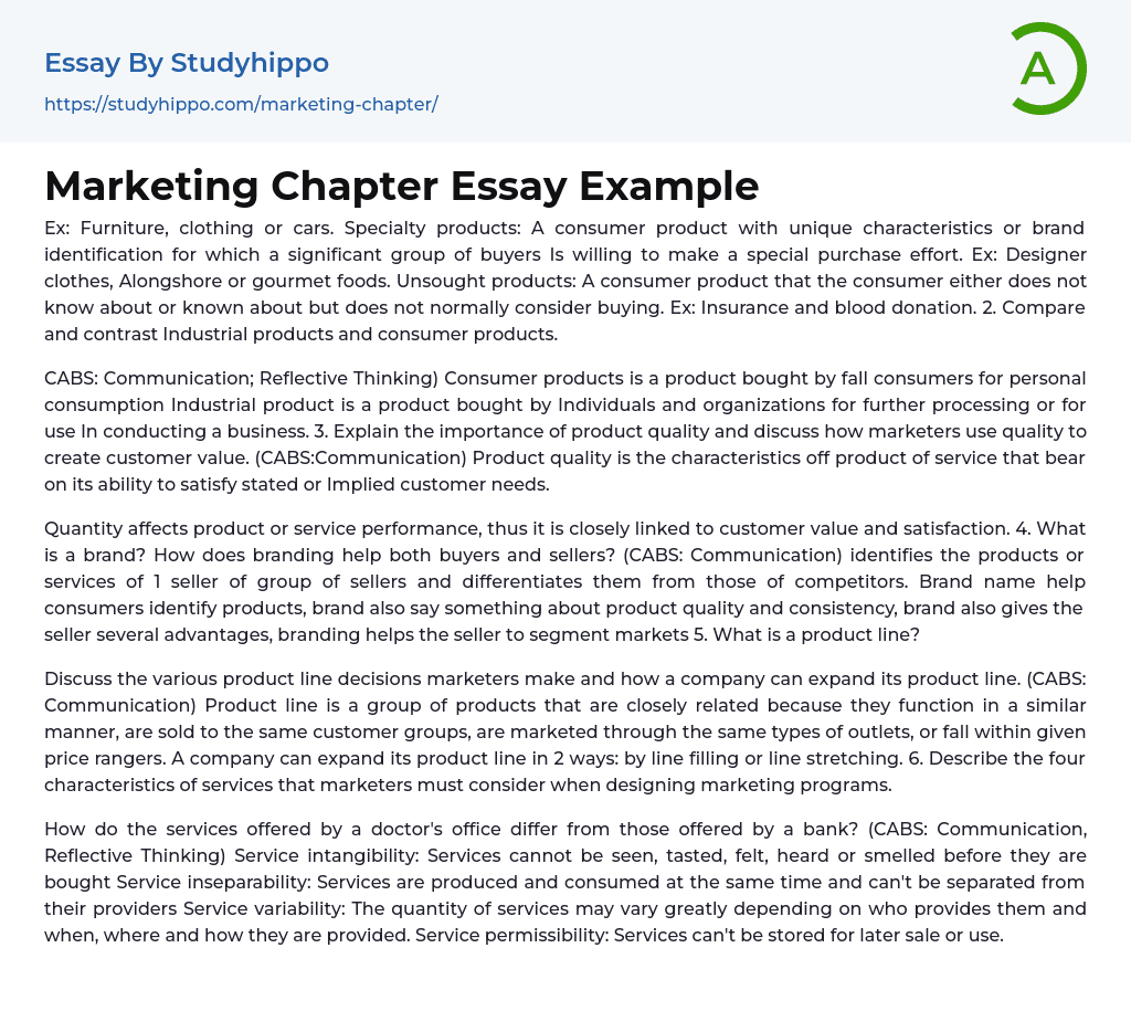 Marketing Chapter Essay Example