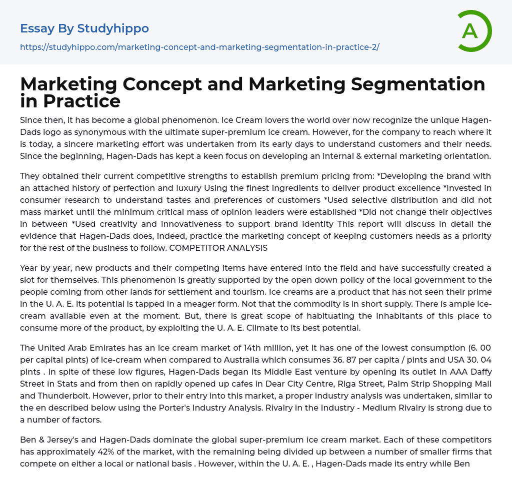 Marketing Concept and Marketing Segmentation in Practice Essay Example