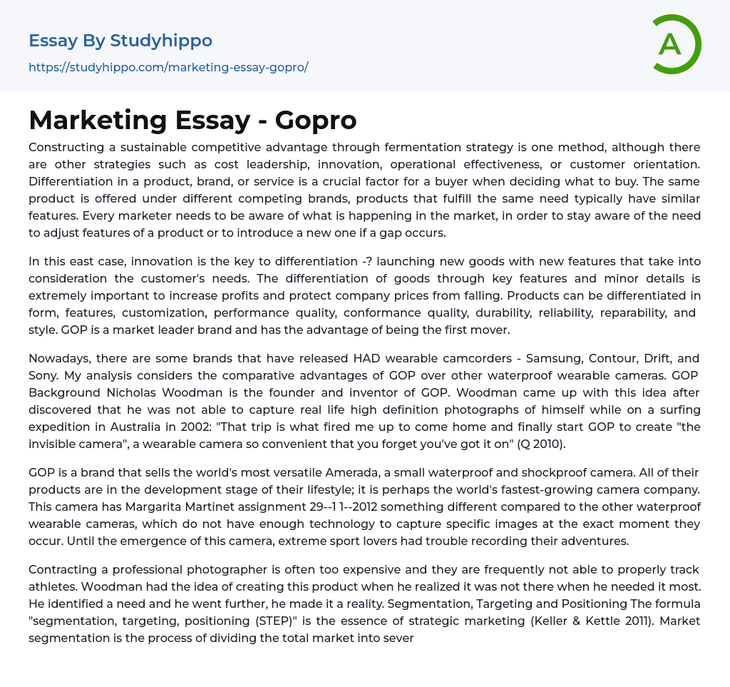 Marketing Essay – Gopro