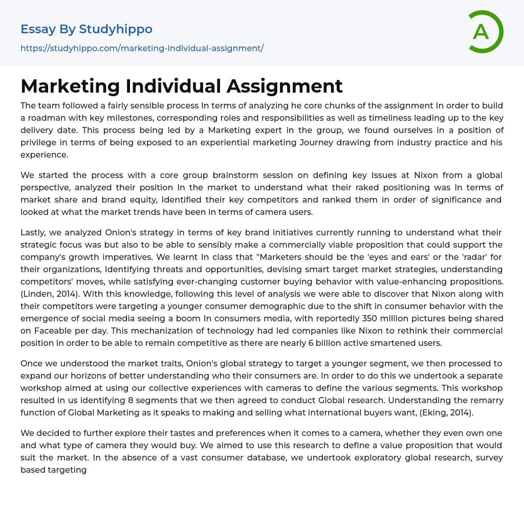 Marketing Individual Assignment Essay Example