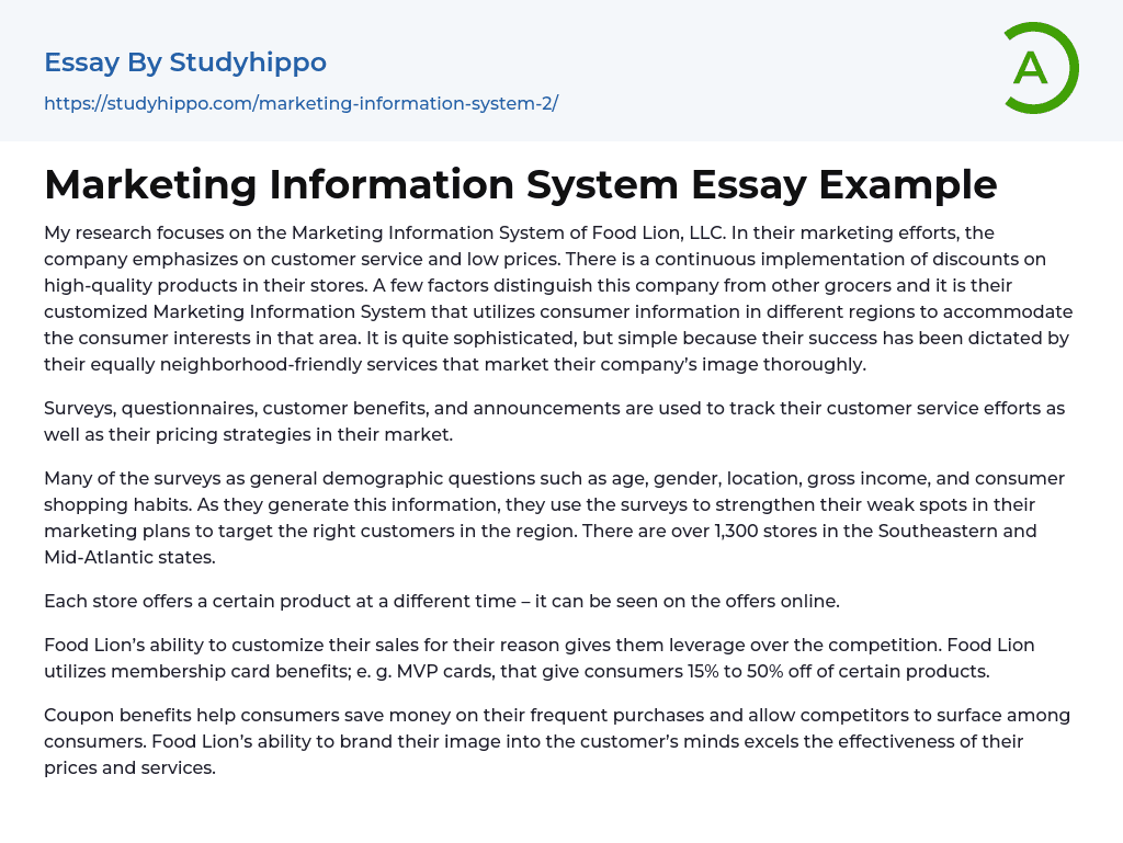Marketing Information System Essay Example