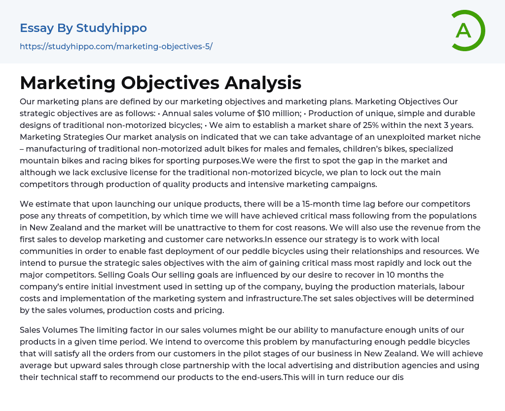 Marketing Objectives Analysis Essay Example