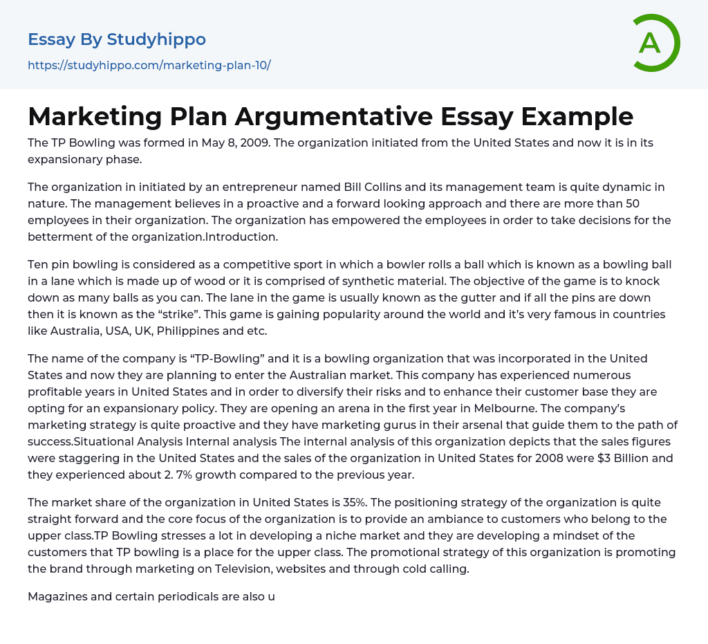 Marketing Plan Argumentative Essay Example