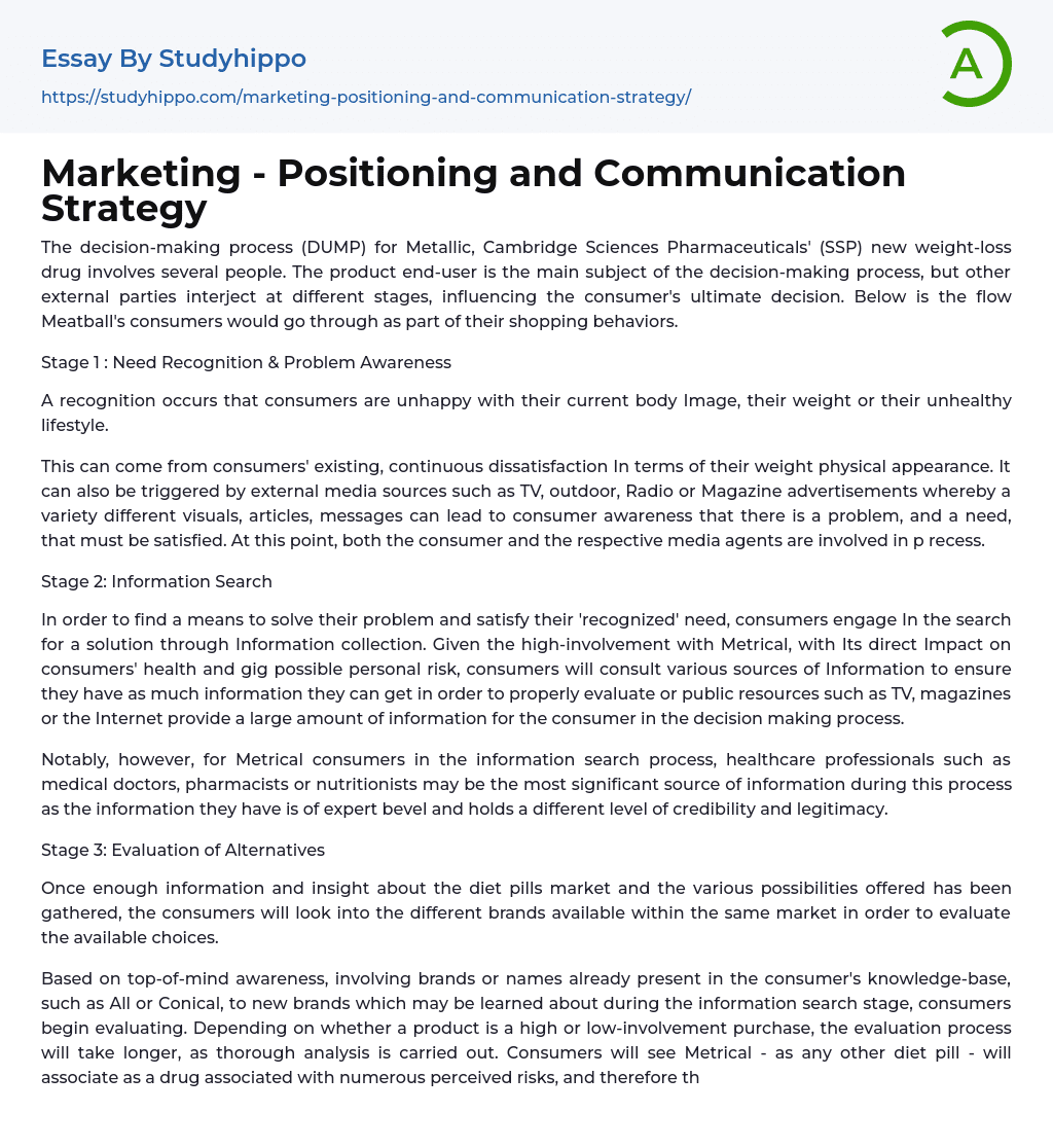 Marketing – Positioning and Communication Strategy Essay Example