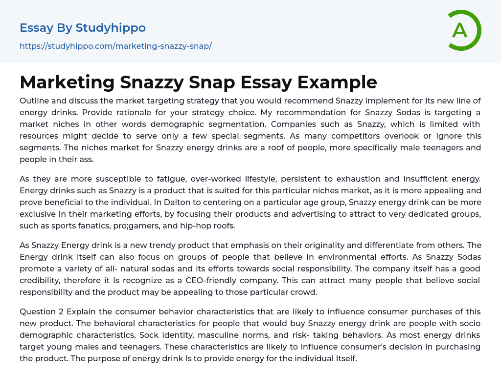 Marketing Snazzy Snap Essay Example