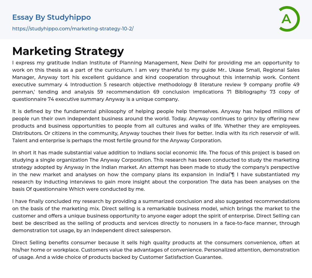 Marketing Strategy Essay Example