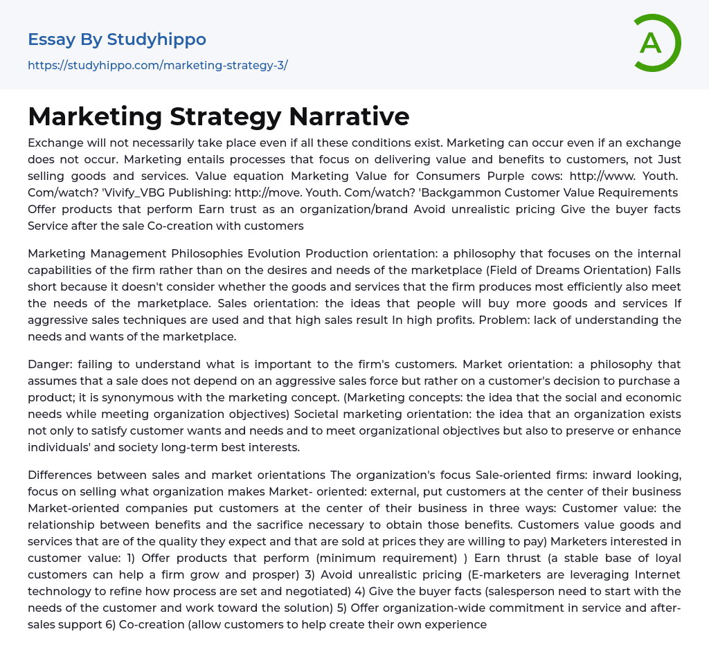 Marketing Strategy Narrative Essay Example