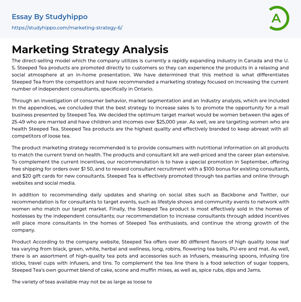Marketing Strategy Analysis Essay Example