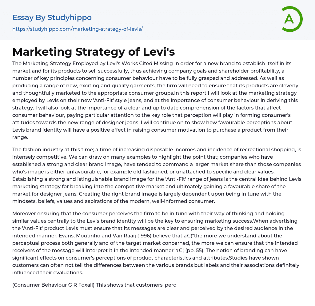 Marketing Strategy of Levi’s Essay Example