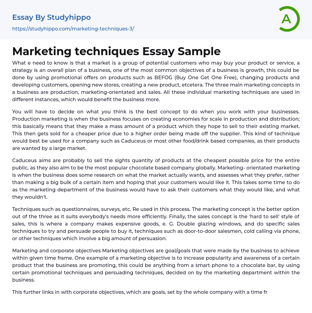 Marketing techniques Essay Sample