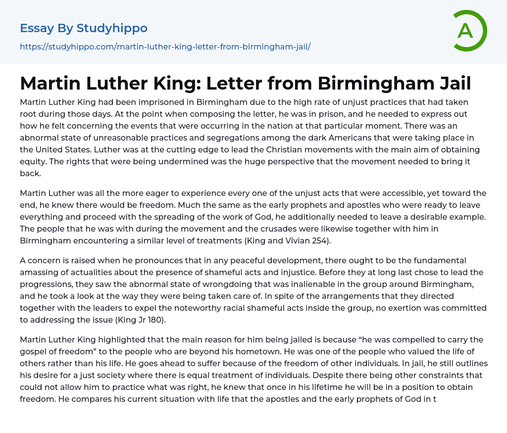 Martin Luther King: Letter from Birmingham Jail Essay Example