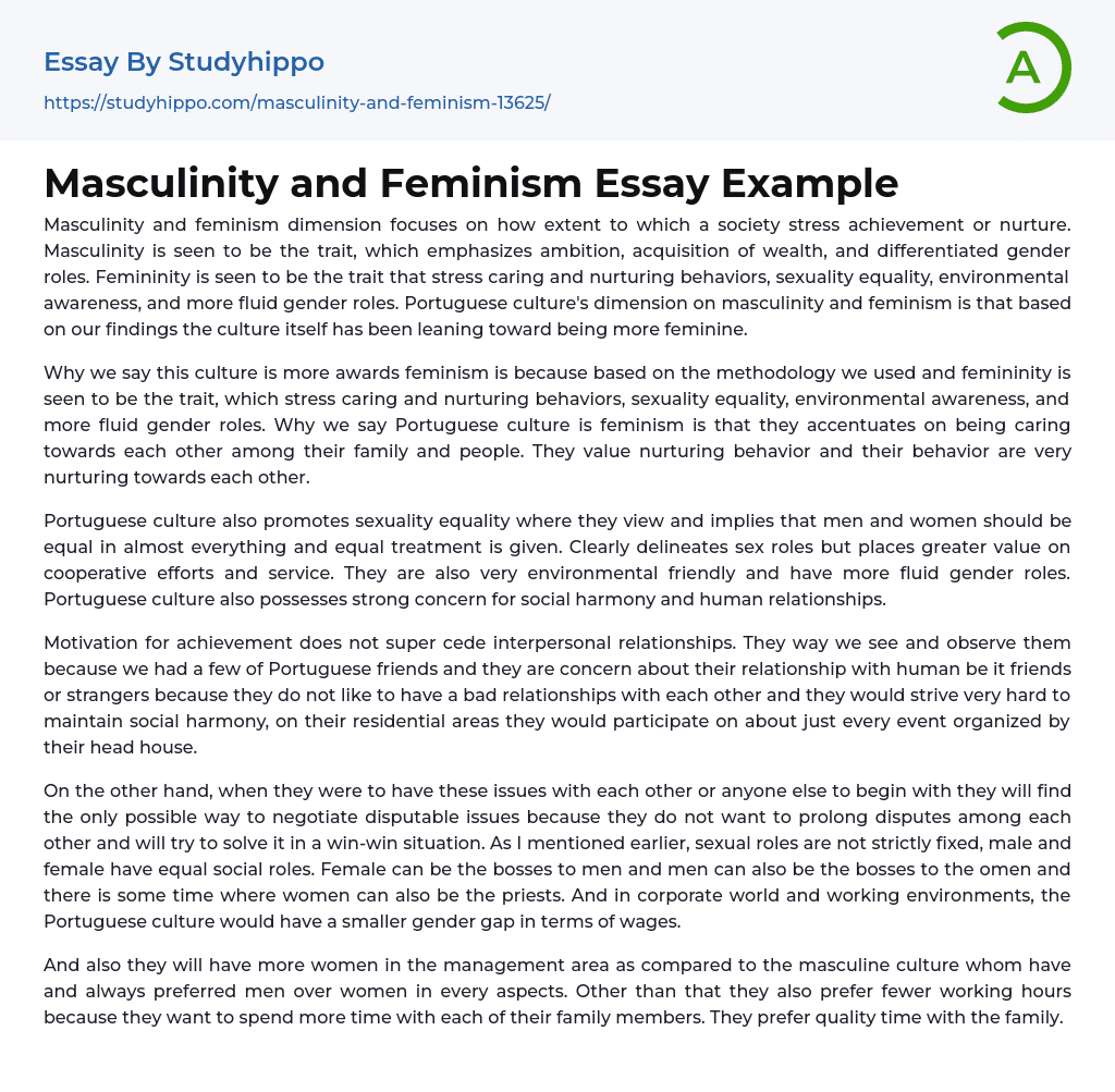 Masculinity and Feminism Essay Example