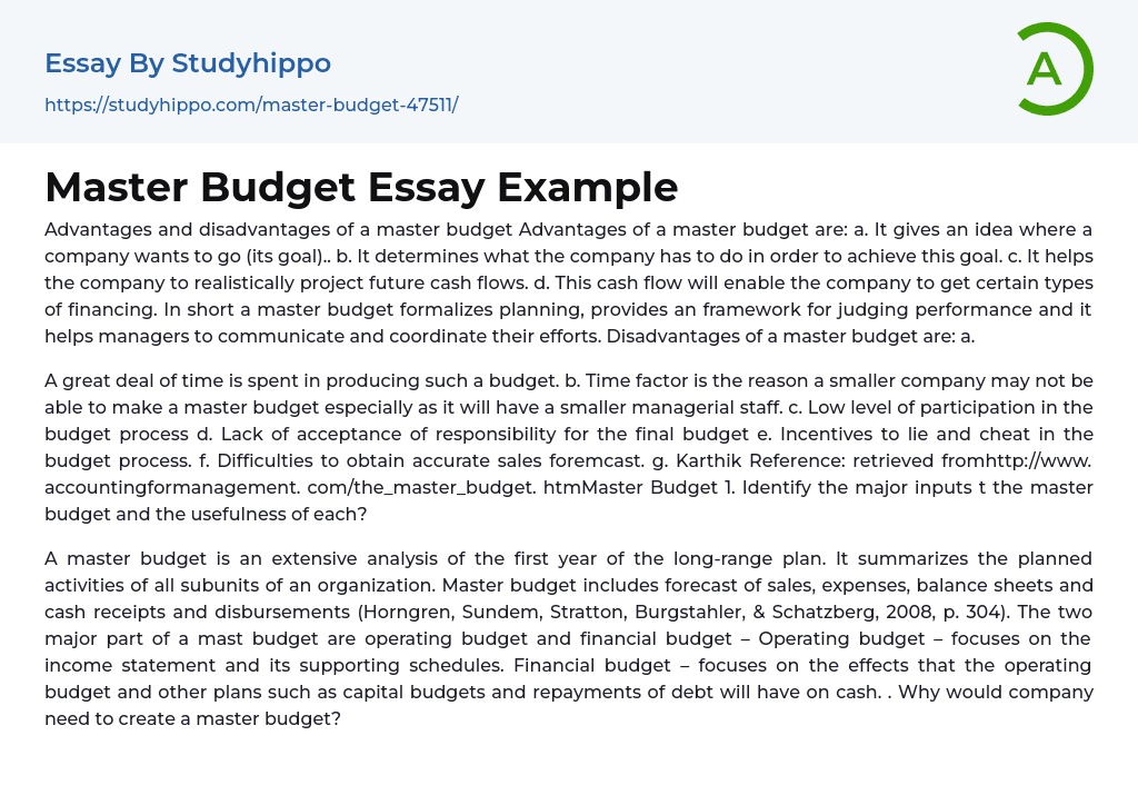 Master Budget Essay Example