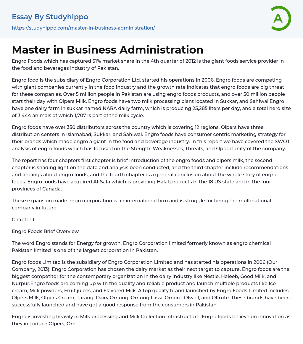 Master in Business Administration Essay Example