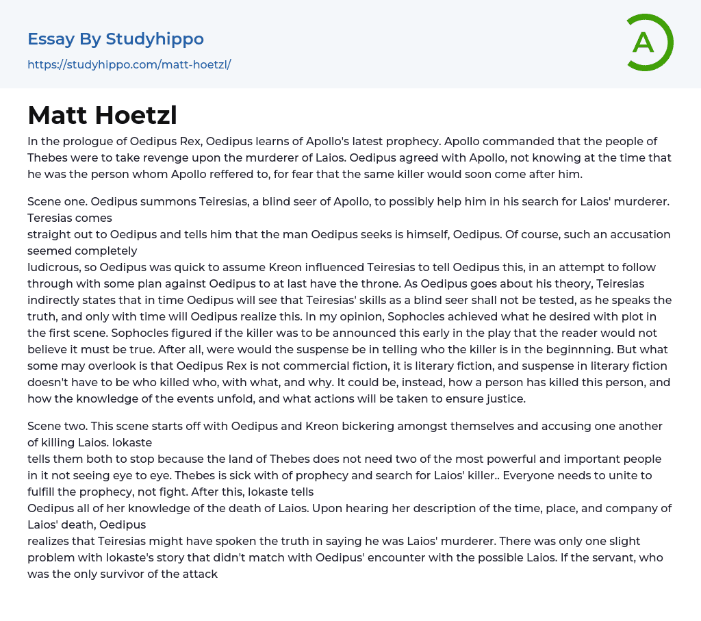 Matt Hoetzl Essay Example