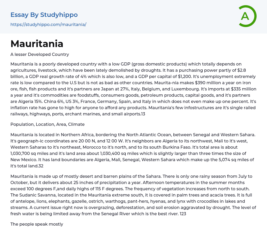 Mauritania Essay Example